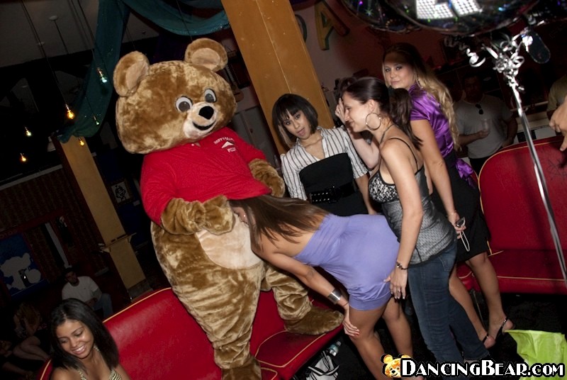 Crashing the club! Dancing Bear Style!